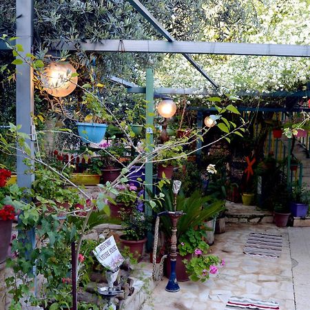 بيت الطبيعة Nature House Jarash Luaran gambar