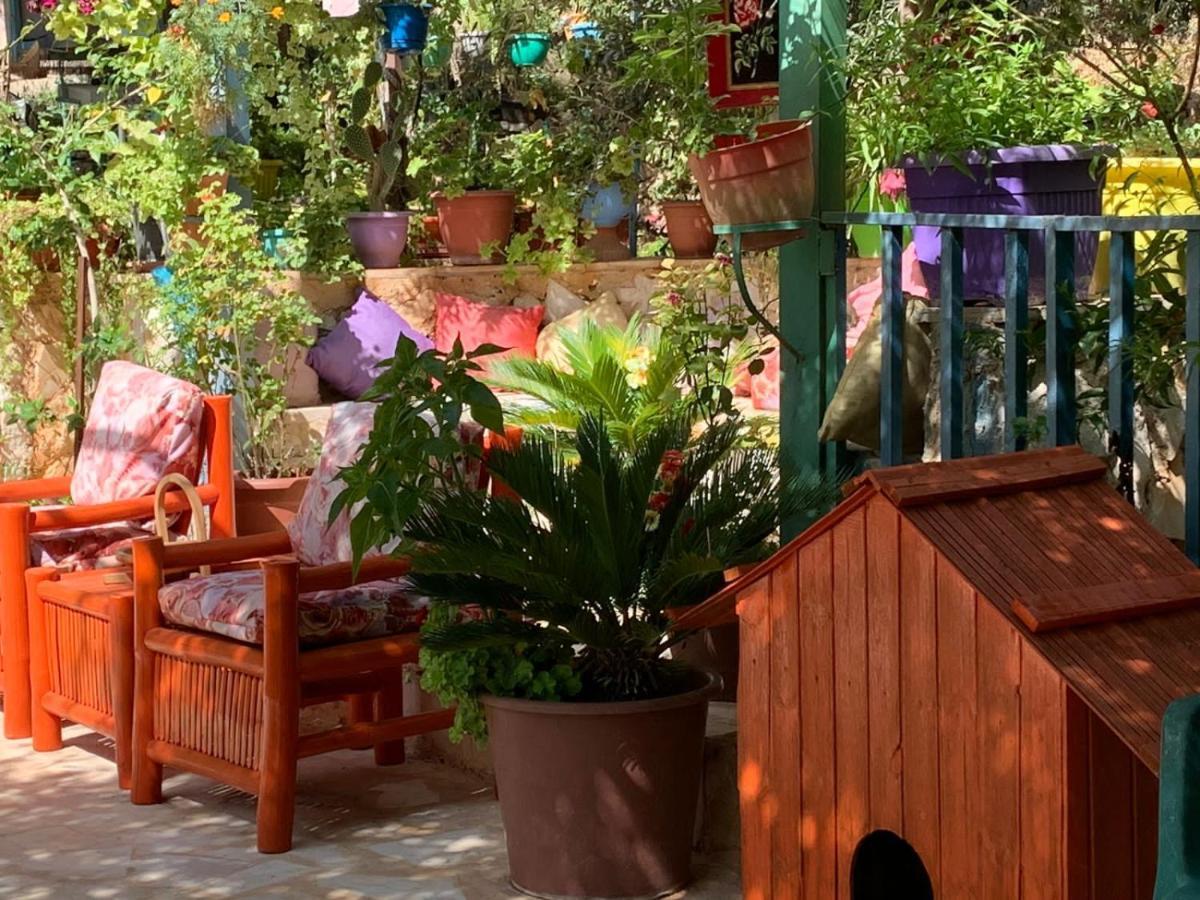 بيت الطبيعة Nature House Jarash Luaran gambar