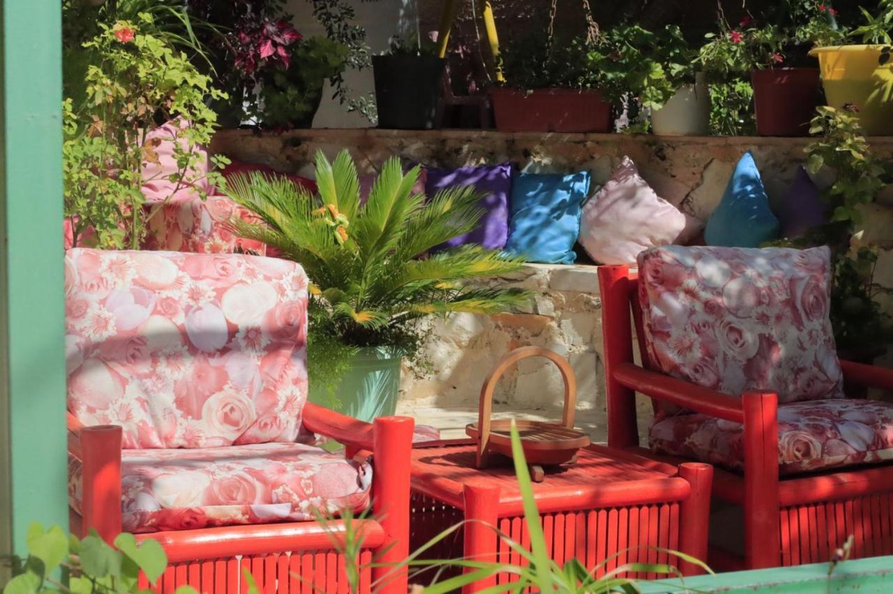 بيت الطبيعة Nature House Jarash Luaran gambar