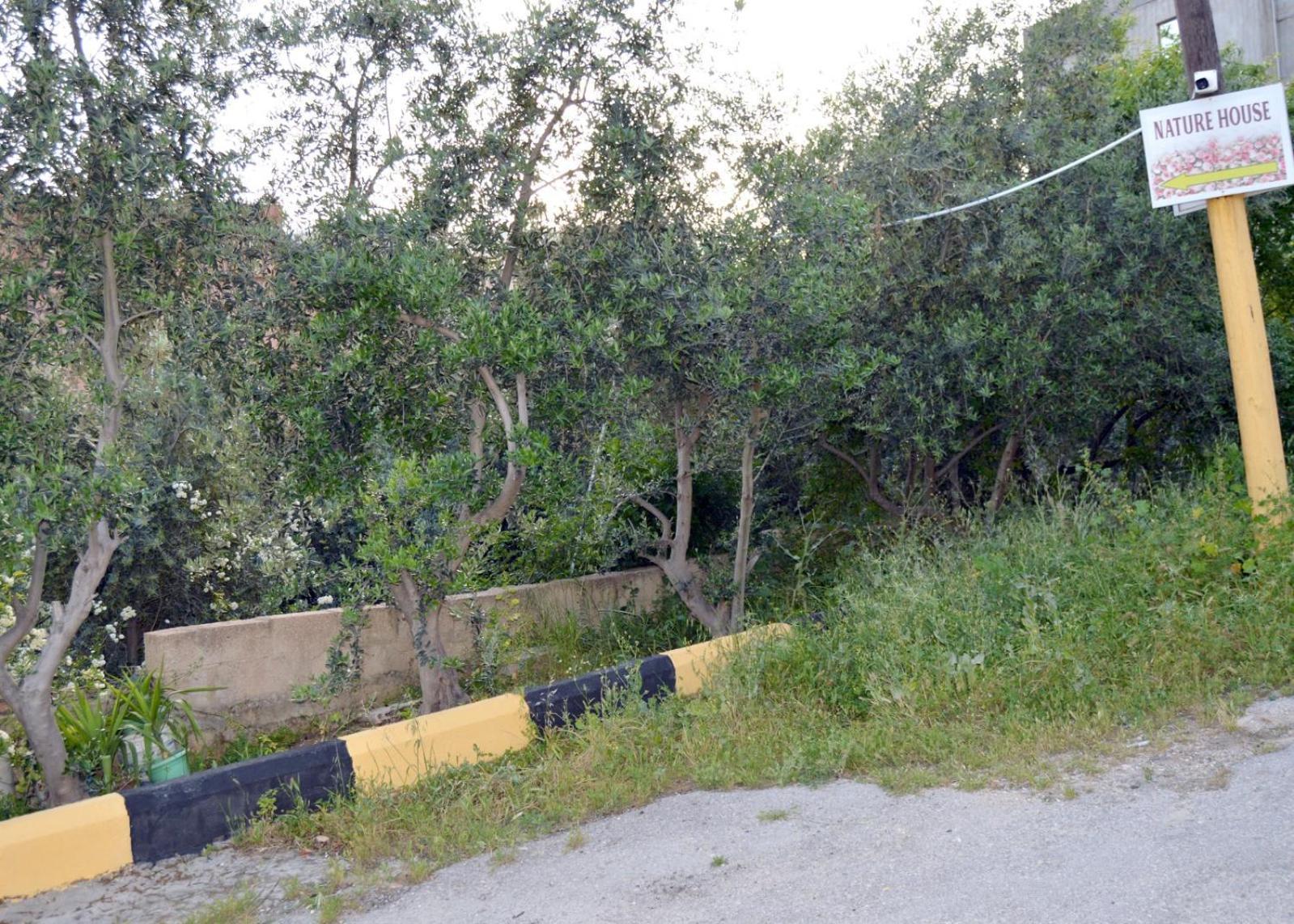 بيت الطبيعة Nature House Jarash Bilik gambar