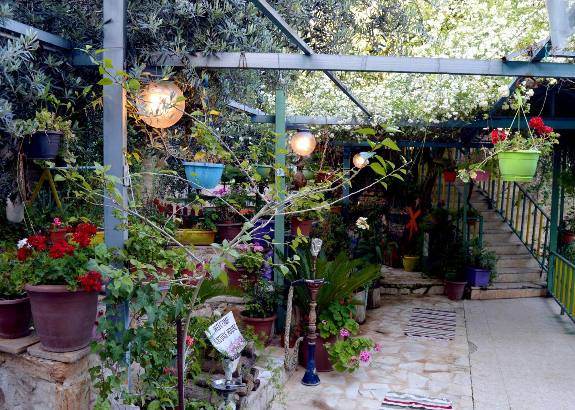 بيت الطبيعة Nature House Jarash Luaran gambar